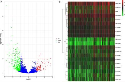 Impact of Long Non-coding RNAs Associated With Microenvironment on Survival for Bladder Cancer Patients